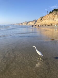 IMG_0786
