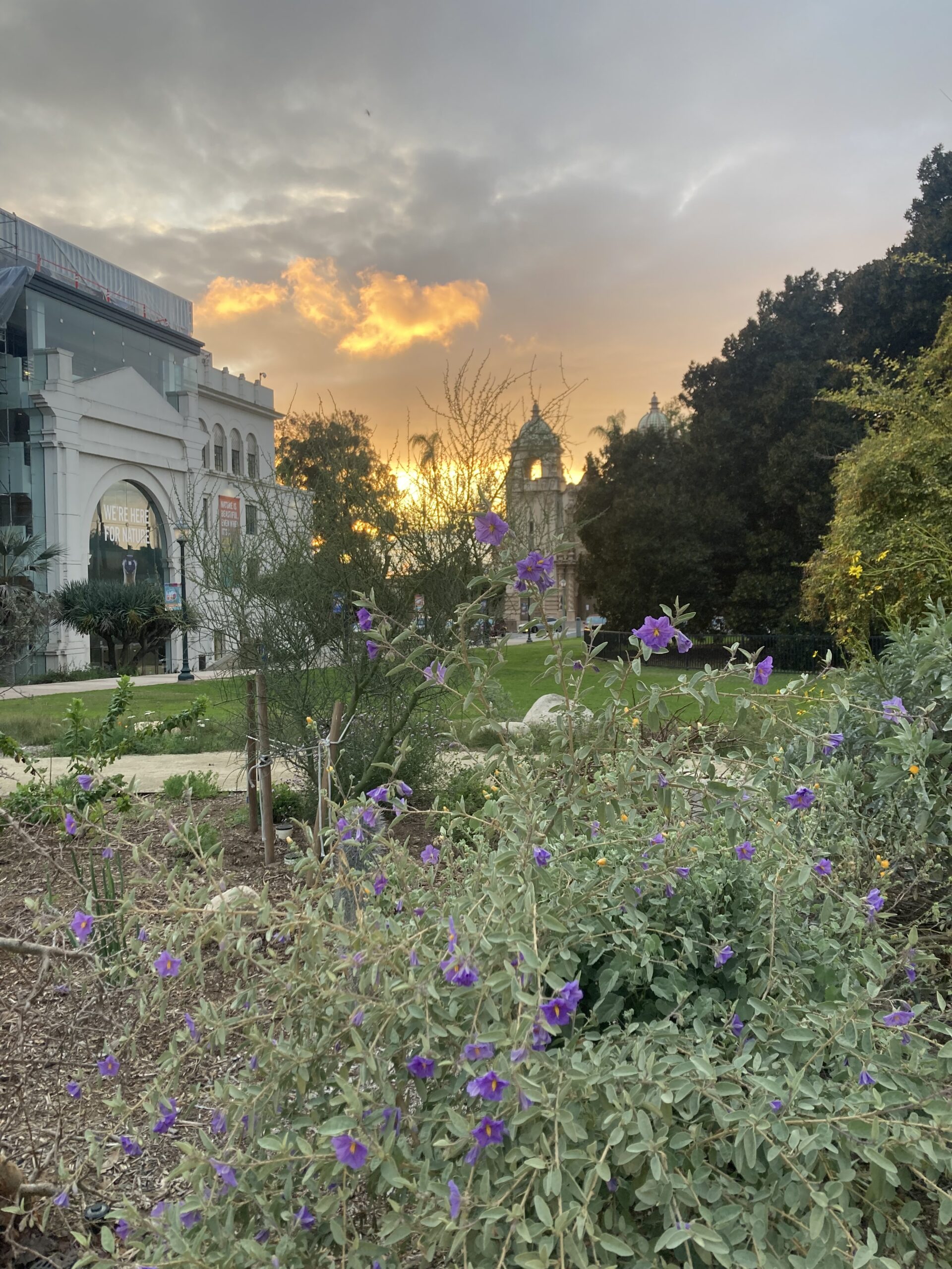 Education Hikes