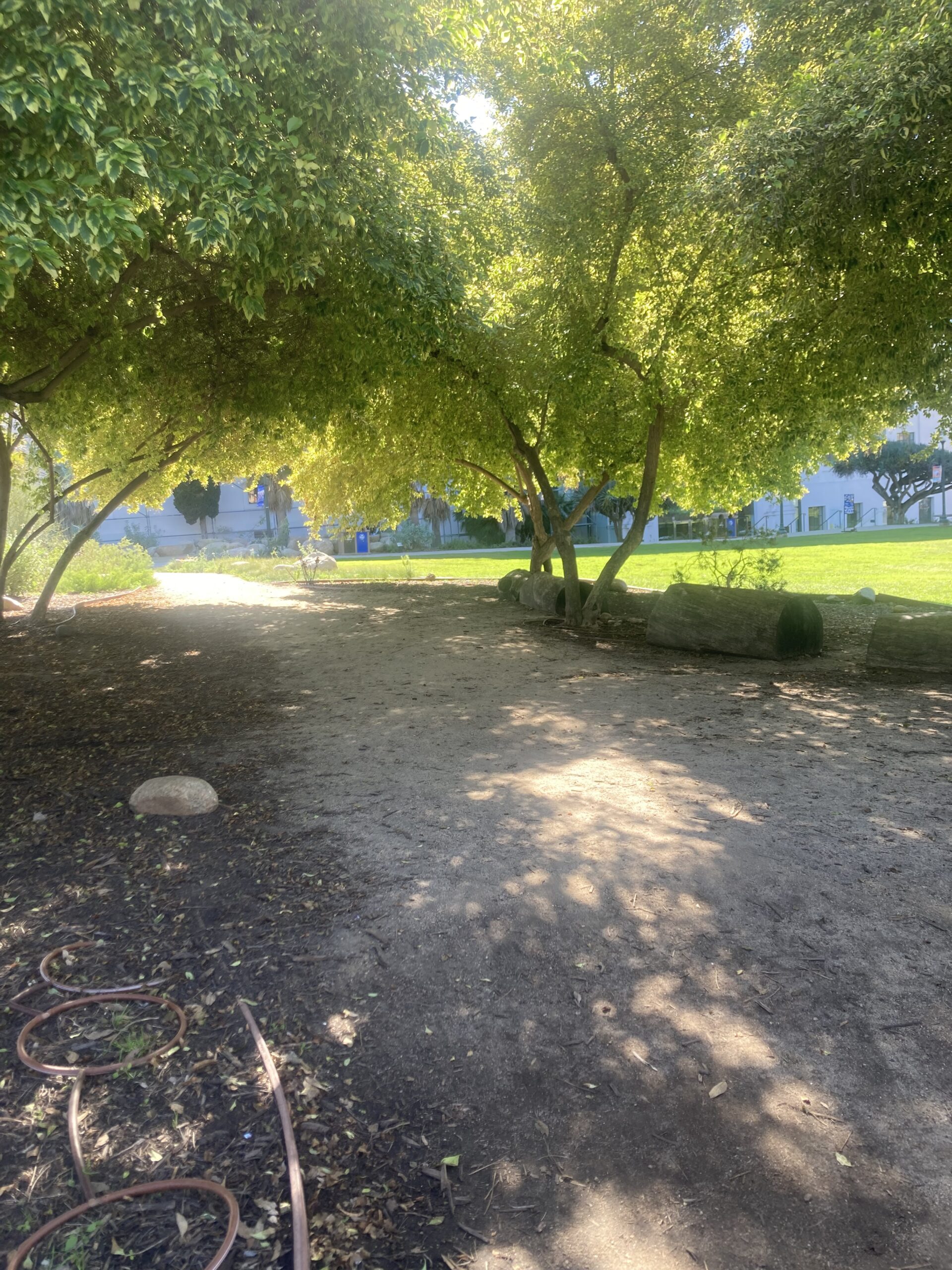 Balboa Park and Old Town